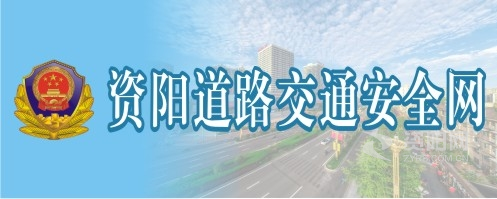 搞老骚逼资阳道路交通安全网